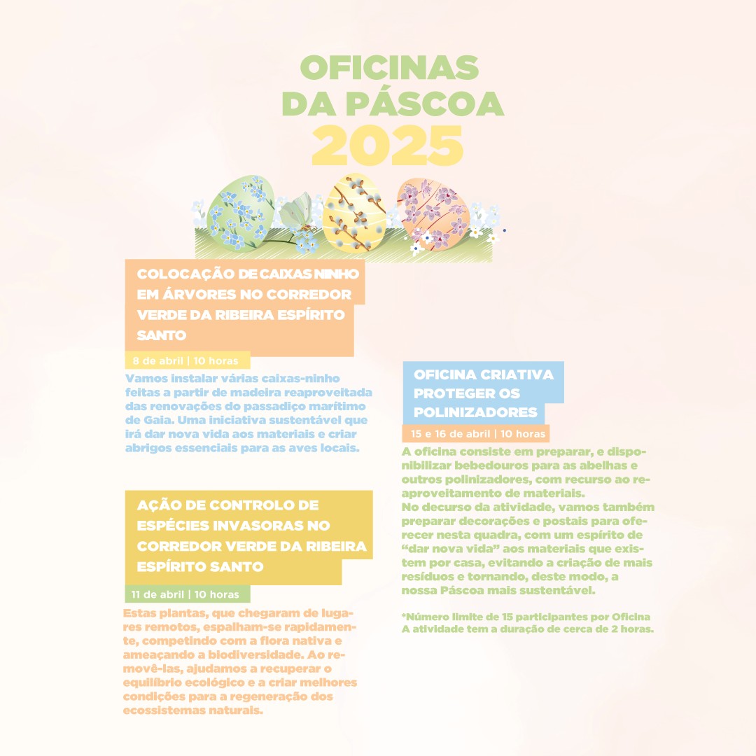 Cartaz do evento