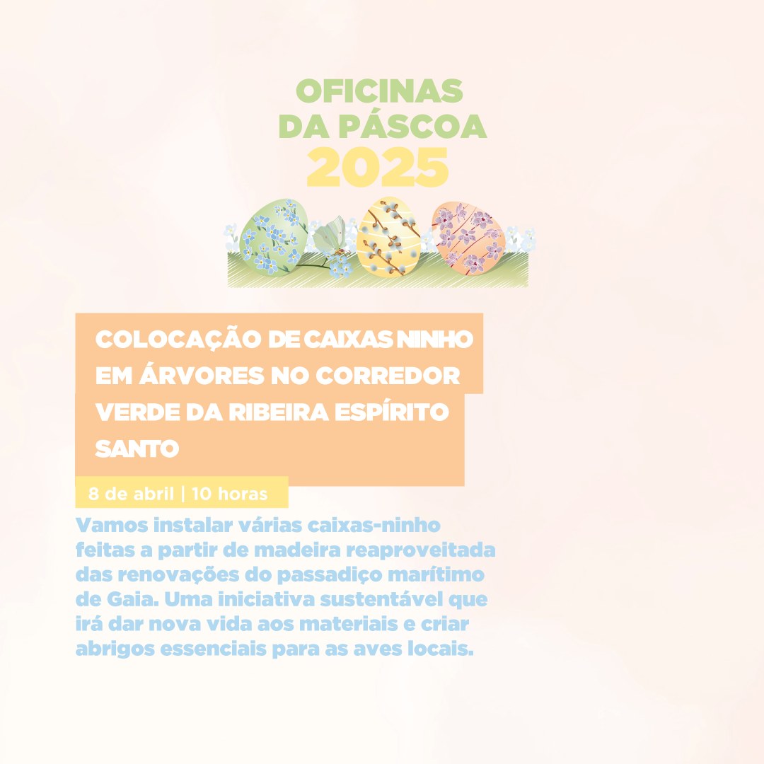 Cartaz do evento