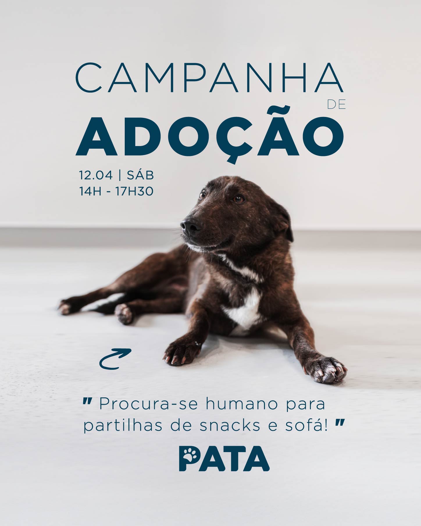 Cartaz do evento