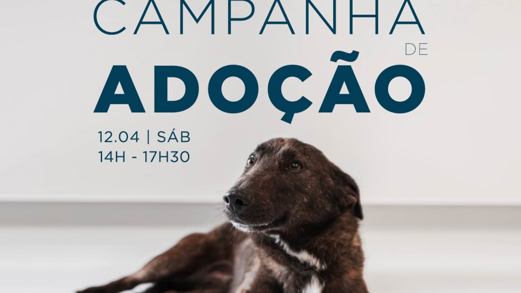 Cartaz do evento