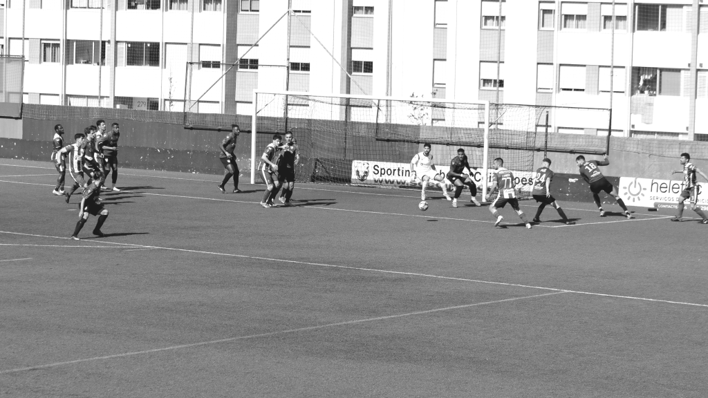 imagem o gaiense