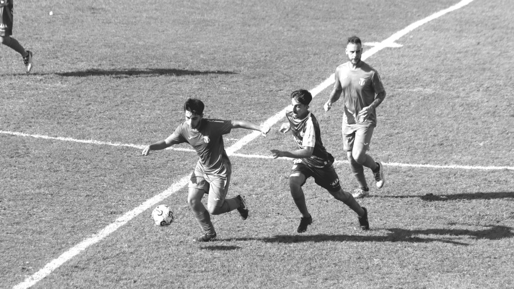 imagem o gaiense