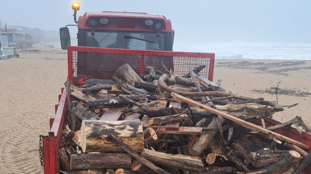 Águas de Gaia inicia limpeza das praias